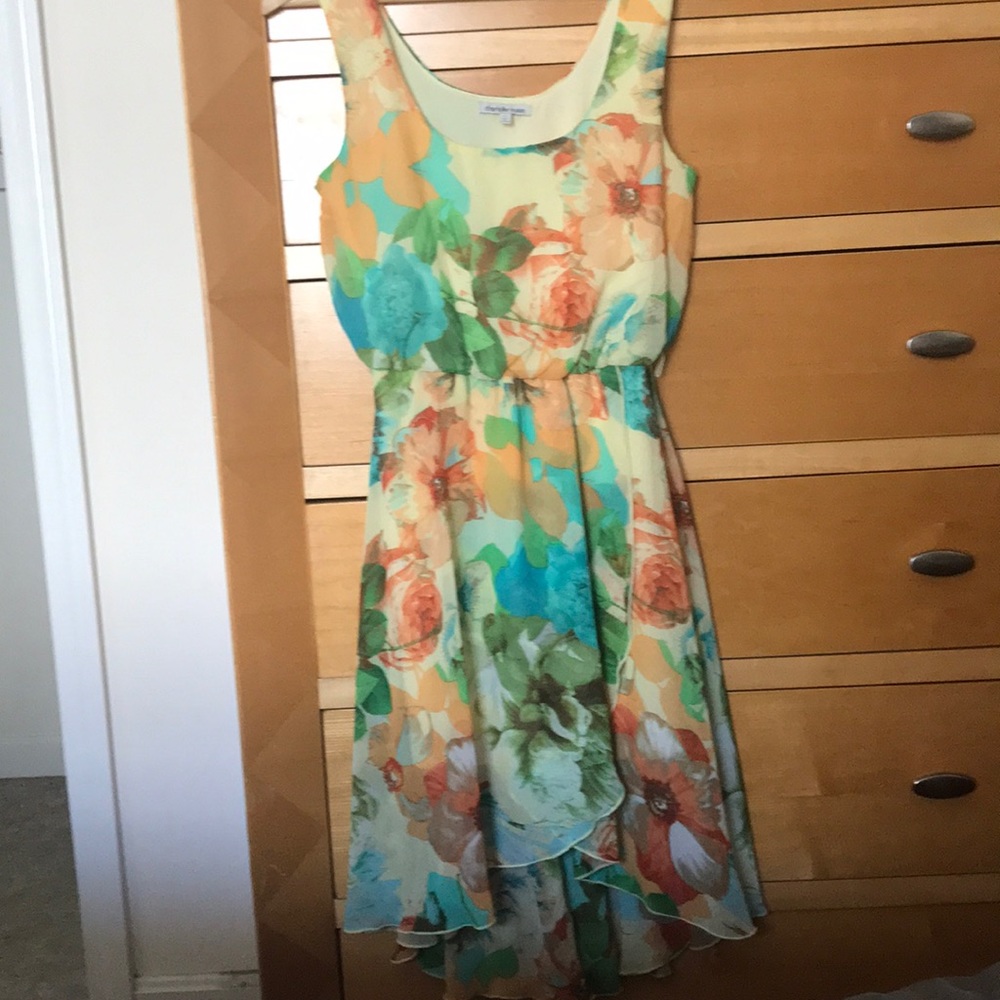 Beautiful floral print dress